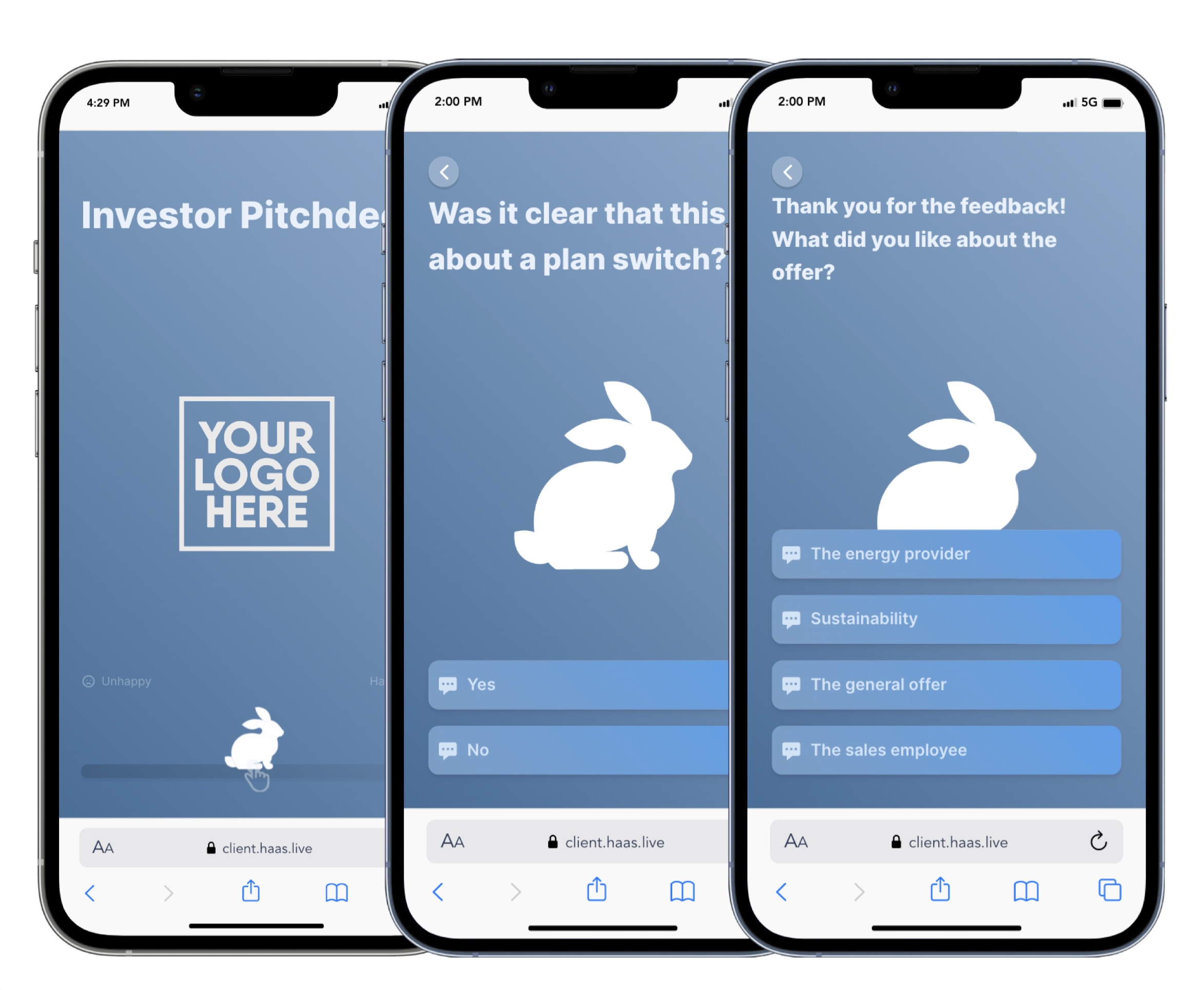 Haas consumer app showing the rabbit mascot and dynamic feedback conversation on mobile